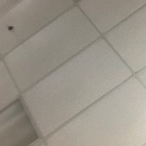 Meet your Posher, Jeffrey